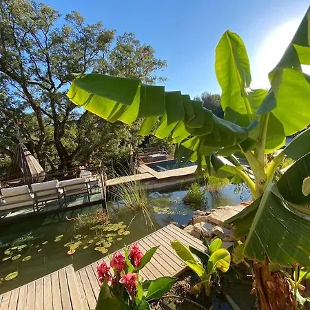 La Bali *****