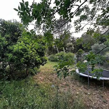 La Bali ***** * Nîmes